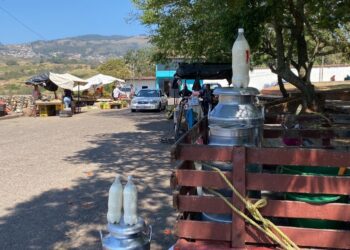 Táchira | Productor de leche denuncia afectación por las fallas eléctricas y el deterioro vial en las zonas rurales 
