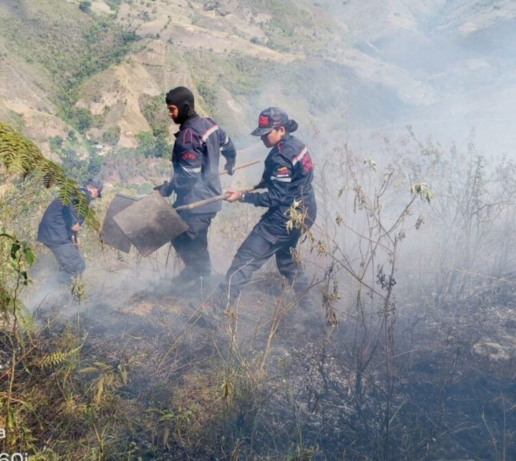 Foto Cortesía @
bomberostru