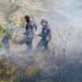 Bomberos de Trujillo sofocan incendio de vegetación en el sector El Roble
