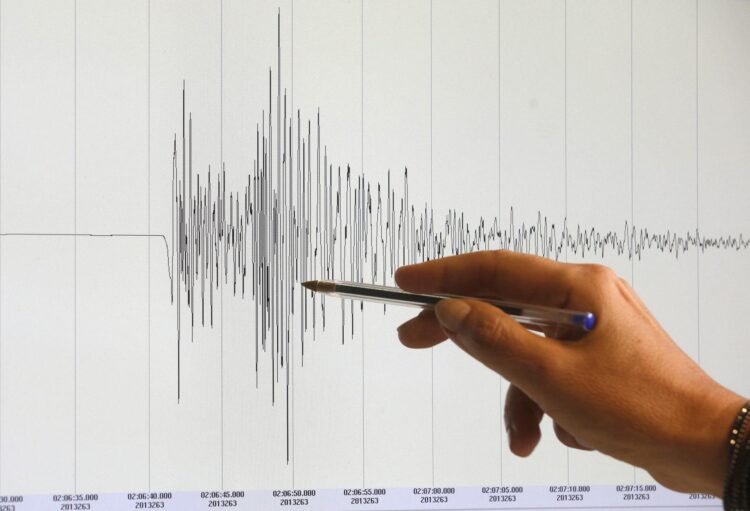 Imagen de archivo del gráfico de un terremoto. EFE/Georg Hochmuth