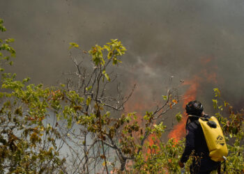 Gobierno colombiano hará un plan de recuperación ambiental en zona afectada por incendios