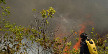 Gobierno colombiano hará un plan de recuperación ambiental en zona afectada por incendios