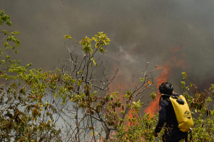Foto del 23 de agosto de 2026 que muestra a un bombero que trabaja en la contención de uno de los incendios forestales en el departamento del Tolima (Colombia). EFE/ Vannessa Jiménez