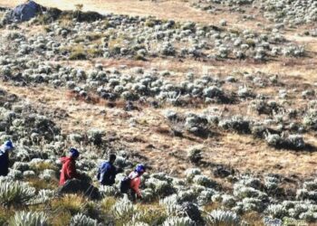 Denuncian actividad agrícola dentro de la zona protegida del Monumento Natural Teta de Niquitao – Guirigay