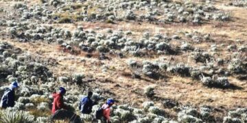 Denuncian actividad agrícola dentro de la zona protegida del Monumento Natural Teta de Niquitao – Guirigay