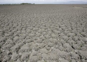 La COP17 cierra sin pacto de sequía, pero moviliza 1.300 millones de dólares
