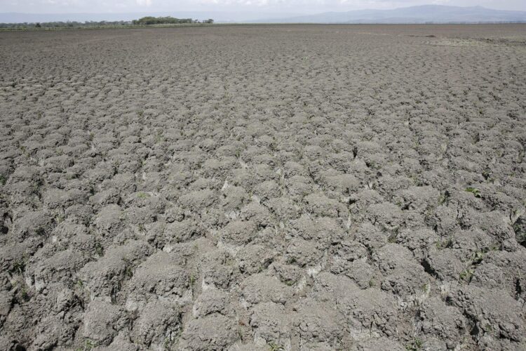 En la imagen de archivo, un paisaje lunar de polvo y suelo agrietado es todo lo que queda de la parte suroeste del Lago Naivasha, Kenia. EFE/STEPHEN MORRISON
