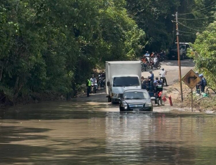 Vehículos grandes y pequeños pasan entre las aguas de la laguna en Puente de Oro, vía San Crist{obal - Rubio. Foto: Mariana Duque