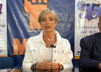 El MAS propone creación de empresas mixtas para atender crisis eléctrica y de agua
