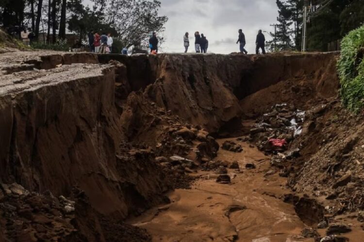 / Foto: Cortesía (El Comercio)