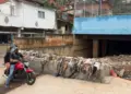 Tragedia por lluvias en Venezuela: un muerto, cinco desaparecidos y 150 viviendas afectadas