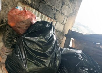 Denuncian dos meses sin servicio de recolección de basura en Batatal 