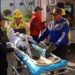 Accidentes de tránsito en Boconó alertan a la población 
