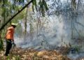 ULA Trujillo | Controladas nuevas llamas en el Bosque Universitario y exigen investigar las causas