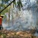 ULA Trujillo | Controladas nuevas llamas en el Bosque Universitario y exigen investigar las causas