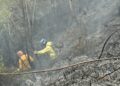 Controlan incendios en Antonio Pinto Salinas e inician investigaciones