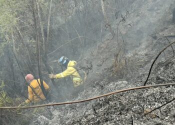 Controlan incendios en Antonio Pinto Salinas e inician investigaciones