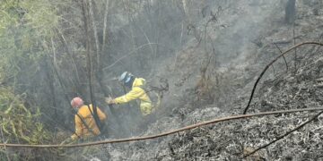 Controlan incendios en Antonio Pinto Salinas e inician investigaciones
