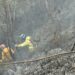 Controlan incendios en Antonio Pinto Salinas e inician investigaciones