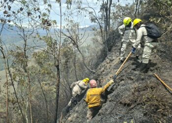 18 incendios se han registrado en el estado Mérida durante septiembre