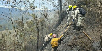 18 incendios se han registrado en el estado Mérida durante septiembre