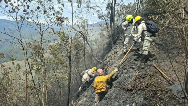 18 incendios se han registrado en el estado Mérida durante septiembre. Fotos Elisabel Camacho