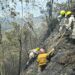 18 incendios se han registrado en el estado Mérida durante septiembre