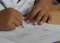 ¿Qué significa la incorporación de 1.297 bachilleres que quedaron sin cupo en el SNI?