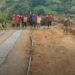 Vecinos de Agua Fría de San Miguel de Boconó realizan reparación de su carretera 