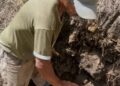 Hace falta mano de obra: continúan trabajos de reparación del acueducto de Tostós 