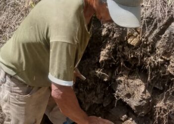 Hace falta mano de obra: continúan trabajos de reparación del acueducto de Tostós 