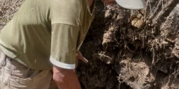 Hace falta mano de obra: continúan trabajos de reparación del acueducto de Tostós 