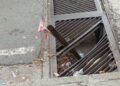 Conductores preocupados: solicitan atención a las vías de Boconó 