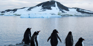 Antarctica 2030 insta a los gobiernos a fijar una gran área de protección en la Antártida