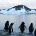 Antarctica 2030 insta a los gobiernos a fijar una gran área de protección en la Antártida