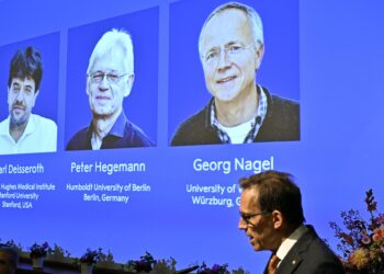El Premio Nobel de Medicina premia a los fundadores de una nueva era en la neurociencia
