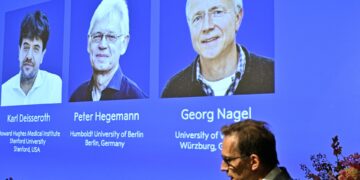 El Premio Nobel de Medicina premia a los fundadores de una nueva era en la neurociencia