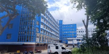 Trujillo se posiciona entre los tres estados con mayor número de casos de leishmaniasis cutánea en Venezuela