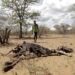 ONU: Los países incluyen cada vez más el cambio climático dentro de políticas económicas