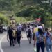 La tradicional caminata de fe desde Valera a Isnotú honra a San José Gregorio Hernández